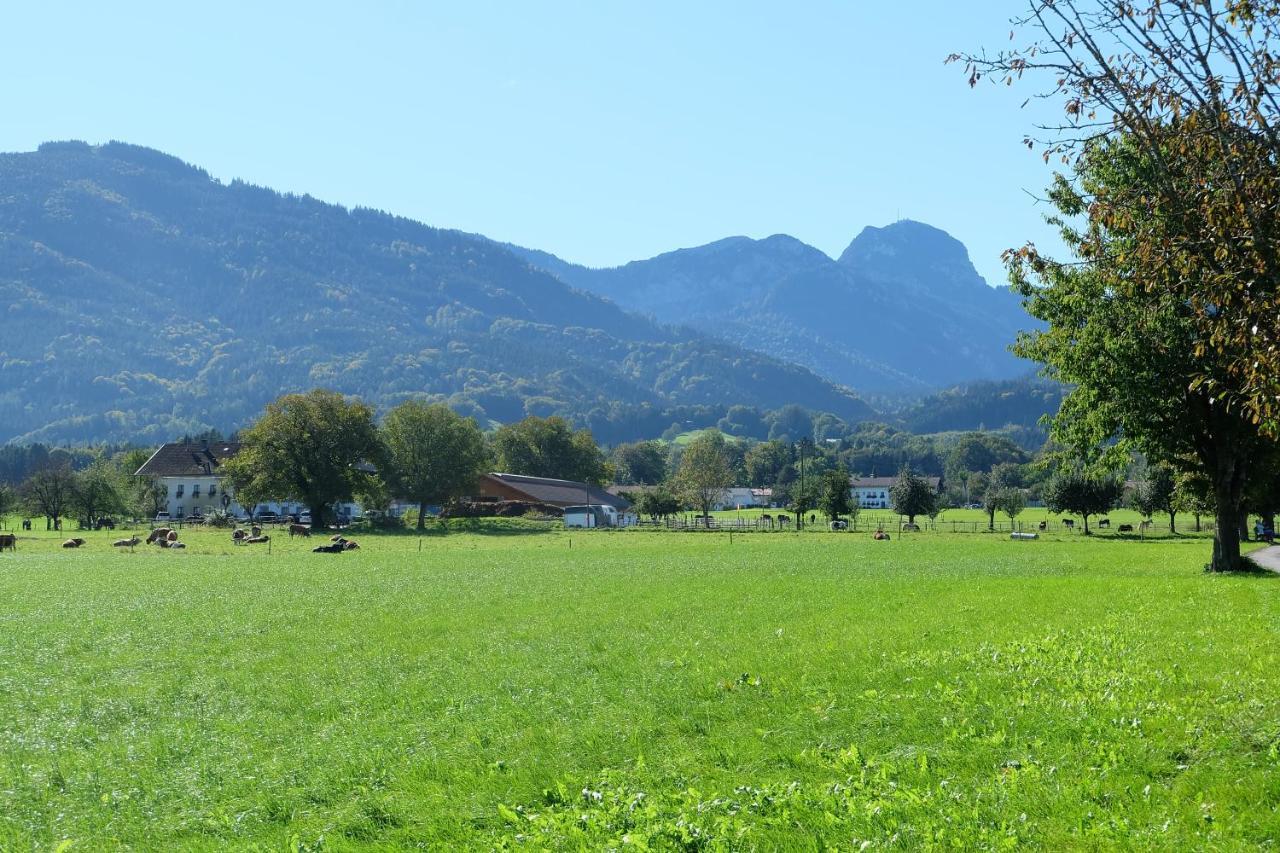 Am Jenbach Daire Bad Feilnbach Dış mekan fotoğraf